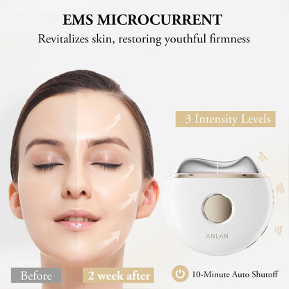 Electric Guasha Massager EMS Face Lifting Anti-Aging Remove Edema Firming Skin Clod Heat Scraping Skincare Beauty Device